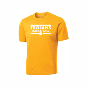 ATC ADULT PERFORMANCE BASKETBALL - GOLD